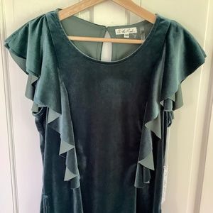 Anthropologie On the Road Velvet Ruffle Top
